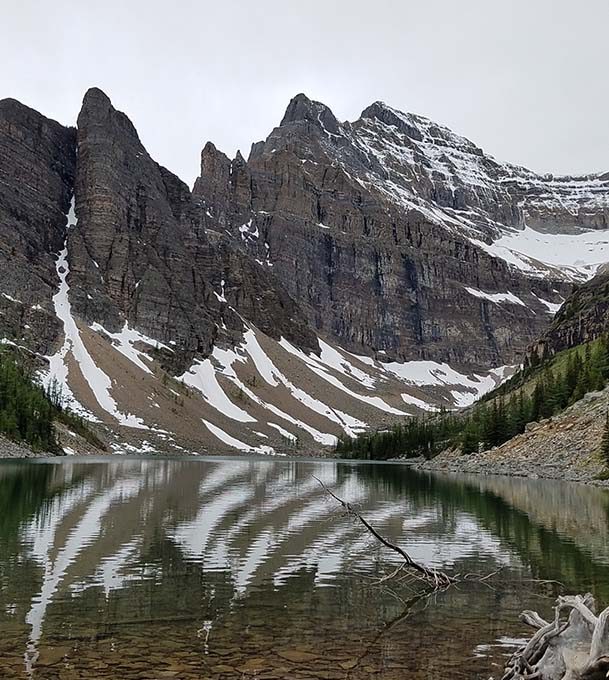 David Parker personal image