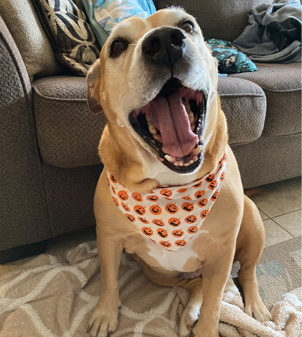 Nicole Kass personal image